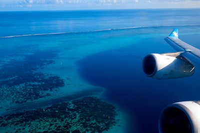 Air Tahiti Nui Wing