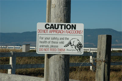 Road Trip 2004: 'Do Not Approach the Raccons' sign